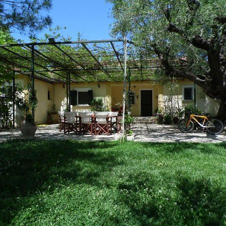 Theni Olive Grove Villa Kato Yerakarion Eksteriør billede
