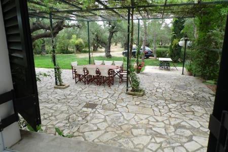 Theni Olive Grove Villa Kato Yerakarion Eksteriør billede