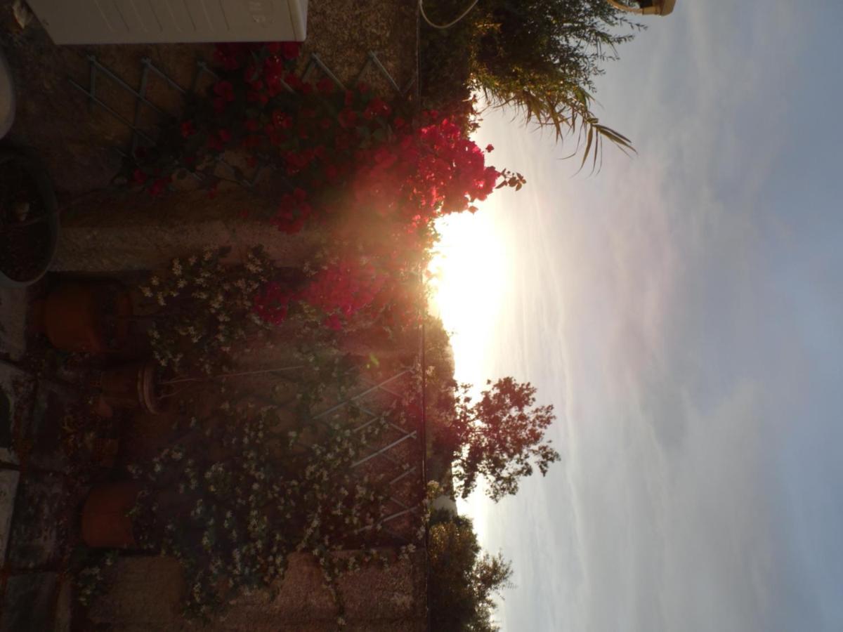 Theni Olive Grove Villa Kato Yerakarion Eksteriør billede