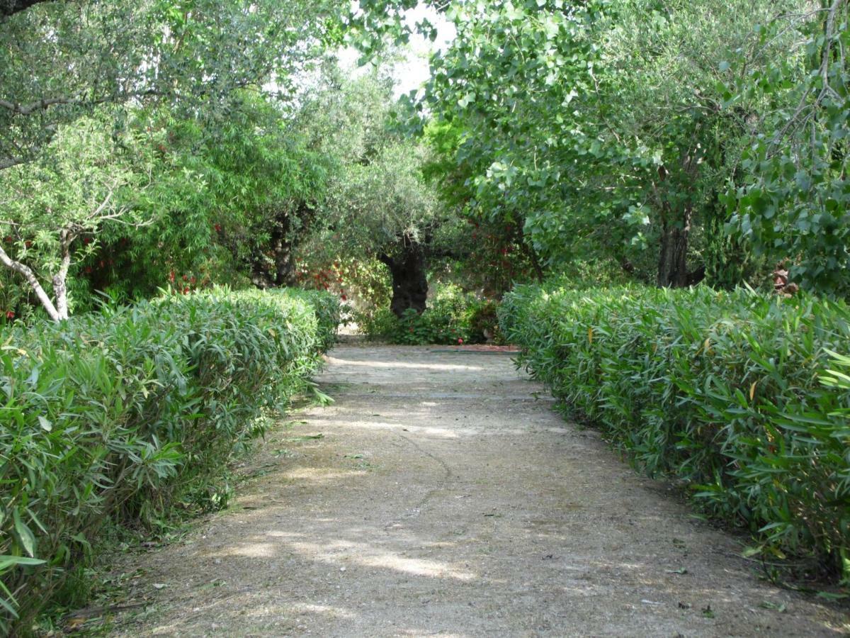 Theni Olive Grove Villa Kato Yerakarion Eksteriør billede