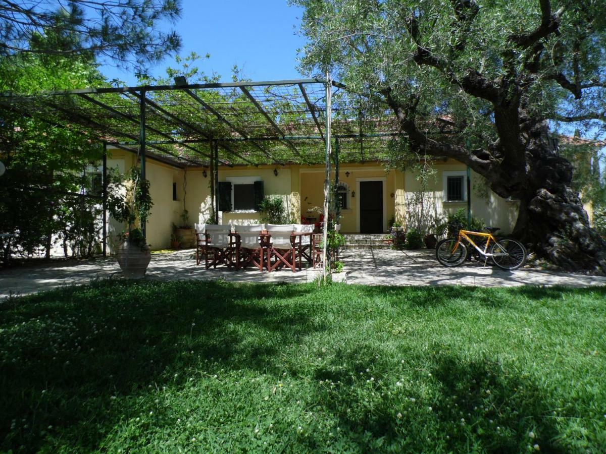 Theni Olive Grove Villa Kato Yerakarion Eksteriør billede