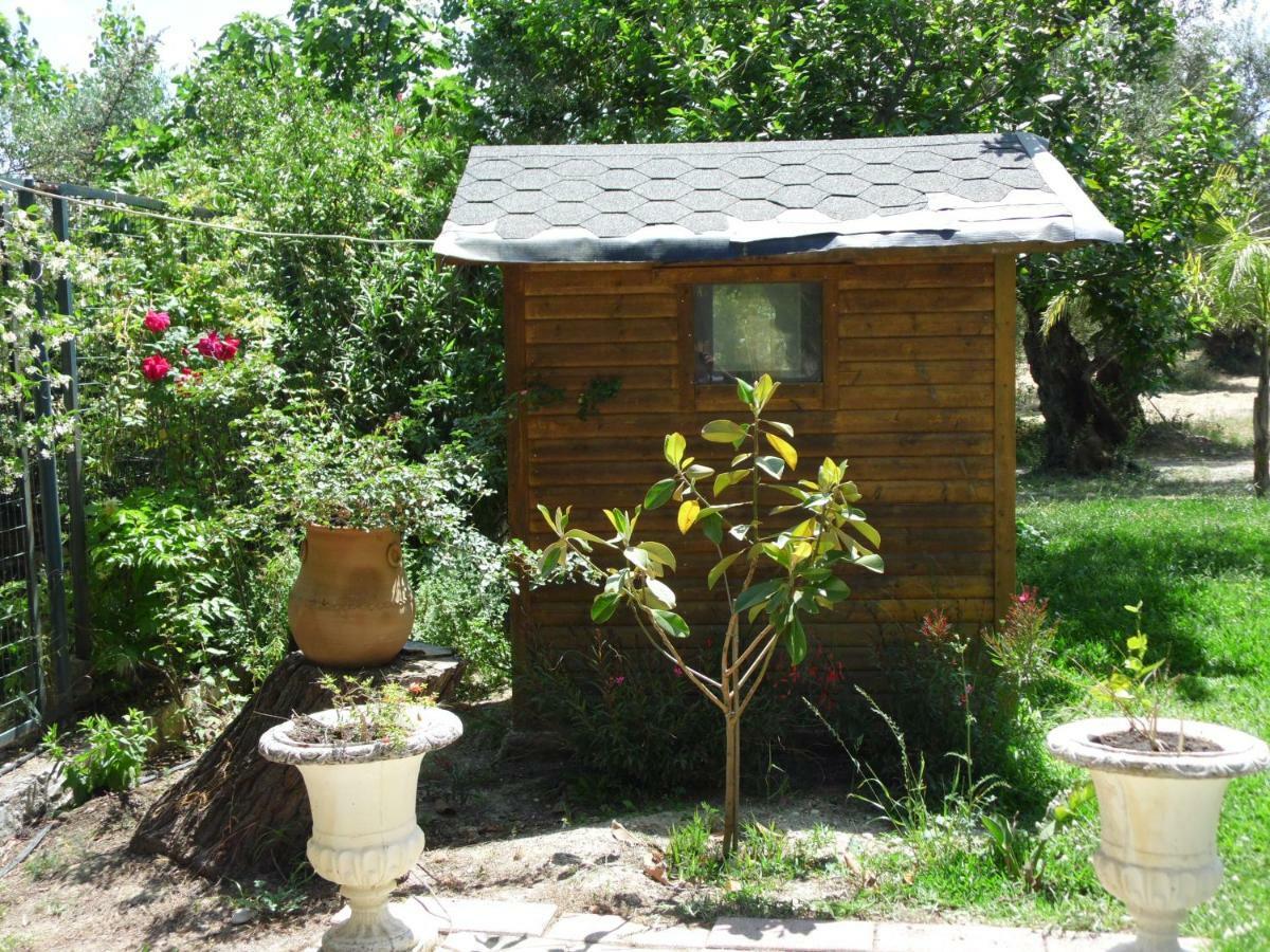 Theni Olive Grove Villa Kato Yerakarion Eksteriør billede