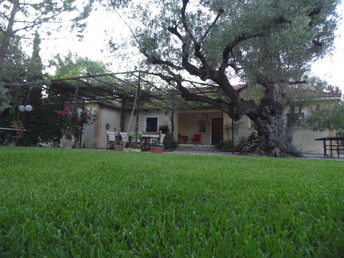 Theni Olive Grove Villa Kato Yerakarion Eksteriør billede